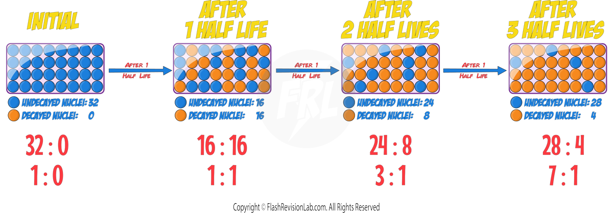 Half Life Ratios